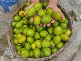 mango verde fotografías e imágenes de stock foto