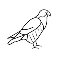 falcon bird line icon vector illustration