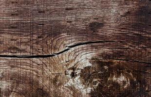 Wood texture background photo