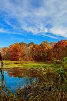 Colorful leaves on trees along lake in autumn, photo