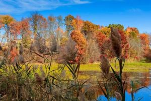 Autumn Landscape. The bright colors in the lake. photo