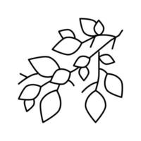 branch leaf line icon vector illustration