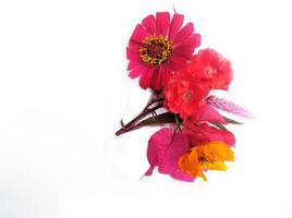 bouquet flowers isolated on white background photo