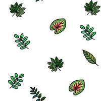palm leaf summer plant green vector seamless pattern
