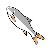 rohu fish color icon vector illustration