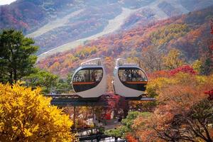 gwangju, gyeonggi, corea del sur 2022 - gente en tren para disfrutar de la vista del otoño de hwadamsup foto