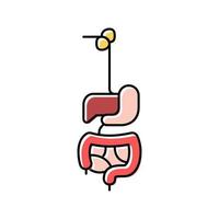 digestive system color icon vector illustration