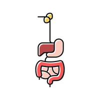 digestive system color icon vector illustration