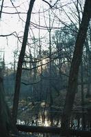 Sunlight falling on river surface in forest landscape photo