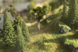 modelo de zona montañosa. árboles en miniatura en el parque de juguetes. paisaje de montaña hecho de plástico. foto