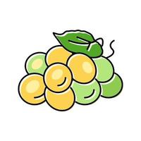 Ilustración de vector de icono de color de vino de uva verde