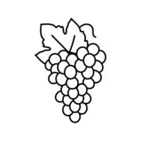 ilustración de vector de icono de línea de racimo de uvas azules
