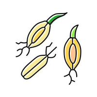 malt barley color icon vector illustration