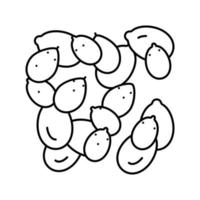 semillas de calabaza peladas línea icono vector ilustración