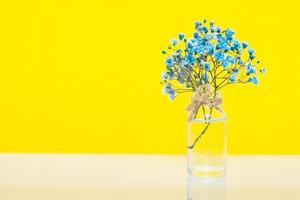 Blue gipsofila flowers on yellow background. Ukrainian symbol background photo