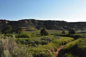 Trodden Hiking Trail and Path in North Dakota photo