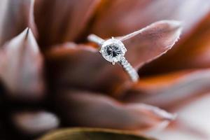 Close up of wedding ring photo