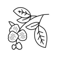 green blackberry bush line icon vector illustration