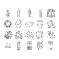 corn maize green, cob sweet icons set vector