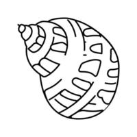 babylon sea shell beach line icon vector illustration