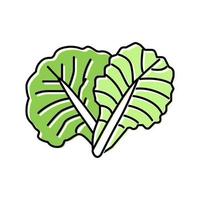 leaf cabbage color icon vector illustration