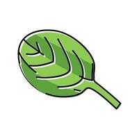 leaf spinach color icon vector illustration