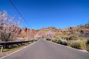 Scenic Road View photo