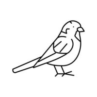 sparrow bird line icon vector illustration