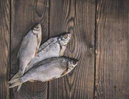 Three roach fish with scales photo