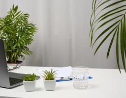 White table with laptop and pots with plants, freelance workplace photo