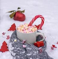 gray cup with hot chocolate and marshmallow photo