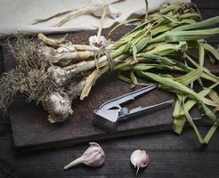 young garlic tied in a bundle with a rope photo