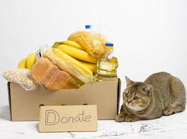 cardboard box with various products, fruits, pasta, sunflower oil in a plastic bottle and preservation photo