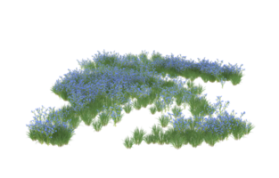 Realistic foliage isolated on transparent background. 3d rendering - illustration png
