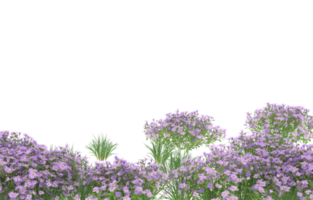 Realistic foliage isolated on transparent background. 3d rendering - illustration png