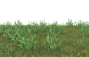 Realistic foliage isolated on transparent background. 3d rendering - illustration png