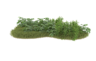 Realistic foliage isolated on transparent background. 3d rendering - illustration png