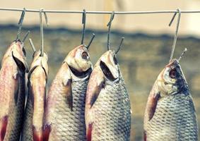 Salted fish ram is hanging on wire photo
