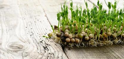 green pea sprouts on a gray wooden table, healthy and tasty food photo