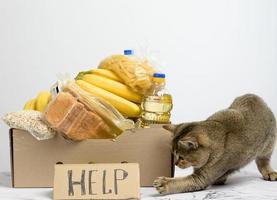 cardboard box with various products, fruits, pasta, sunflower oil in a plastic bottle and preservation photo