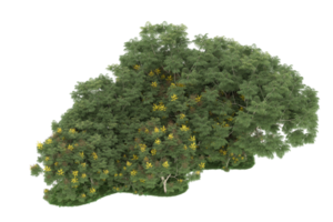 forêt réaliste isolée sur fond transparent. rendu 3d - illustration png