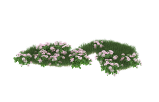 Realistic foliage isolated on transparent background. 3d rendering - illustration png