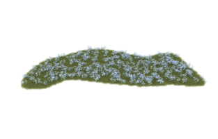Realistic foliage isolated on transparent background. 3d rendering - illustration png