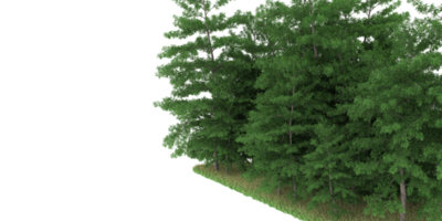 realistischer wald lokalisiert auf transparentem hintergrund. 3D-Rendering - Abbildung png