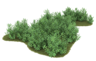 Realistic foliage isolated on transparent background. 3d rendering - illustration png