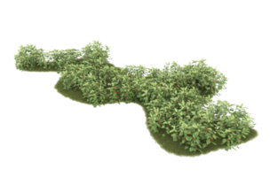 Realistic foliage isolated on transparent background. 3d rendering - illustration png