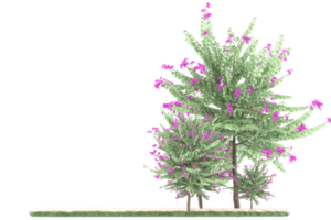 forêt réaliste isolée sur fond transparent. rendu 3d - illustration png