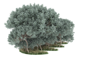 forêt réaliste isolée sur fond transparent. rendu 3d - illustration png