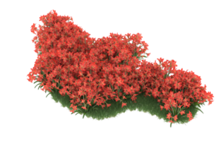 Realistic foliage isolated on transparent background. 3d rendering - illustration png