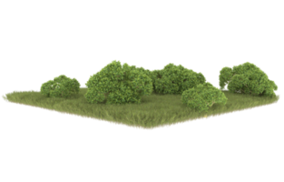 Realistic foliage isolated on transparent background. 3d rendering - illustration png